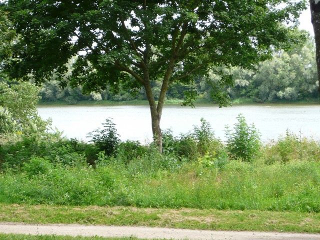 Le Parc 19 juillet 2012 (27).jpg